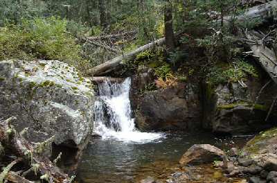 High mountain stream, perfect for fishing.