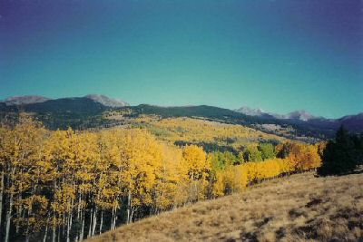 Aspens with Pecos Baldy and Truchas Peaks in background.