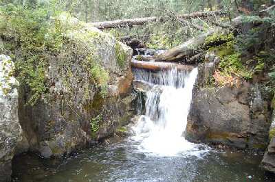 Wild stream in Sangre de Cristo Mountains.